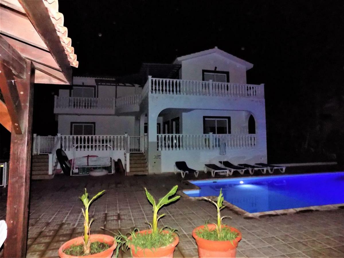 Villa Dioni Mercan Koyu Dış mekan fotoğraf